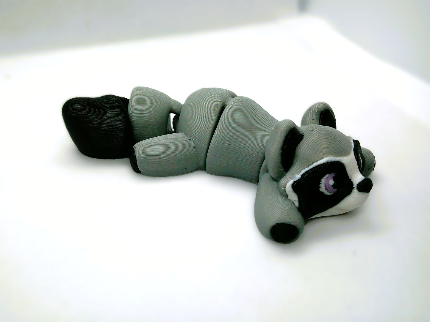 Bo Bo the racoon