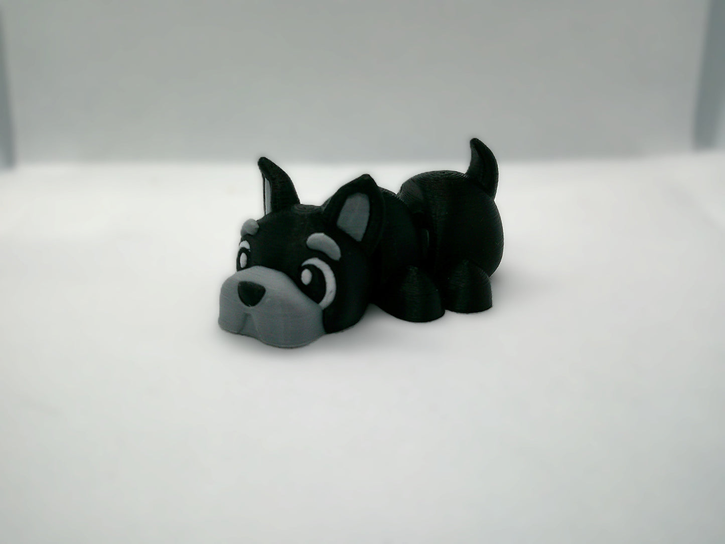 Scottish dog
