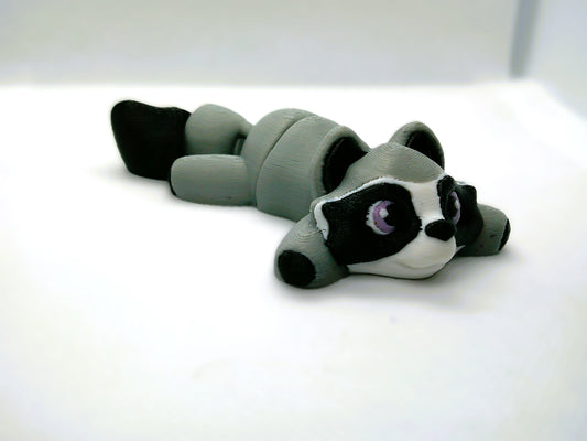 Bo Bo the racoon