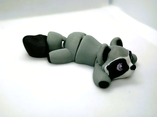 Bo Bo the racoon