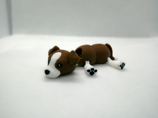 Beagle flexi