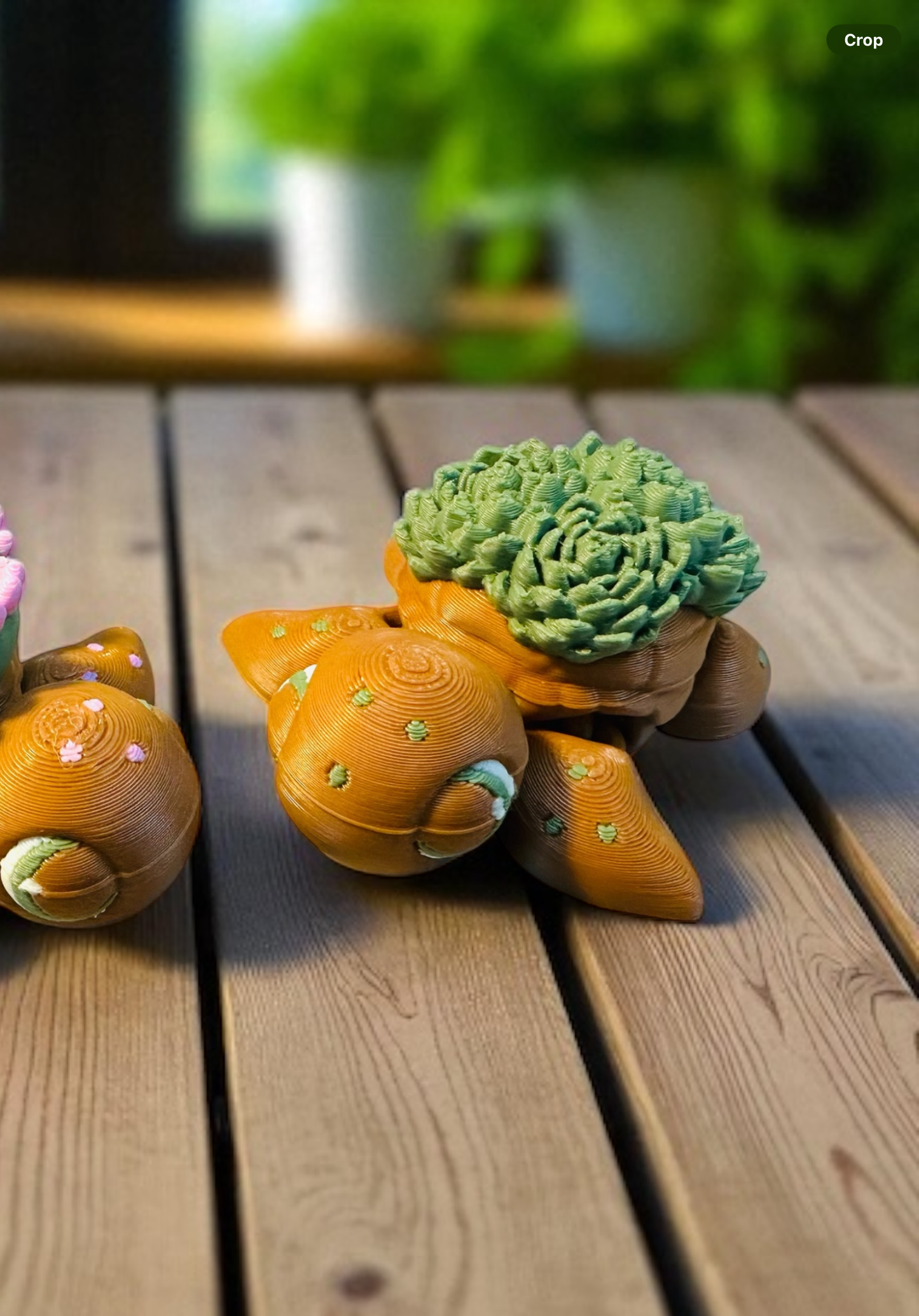 Succulent turtle 3d print